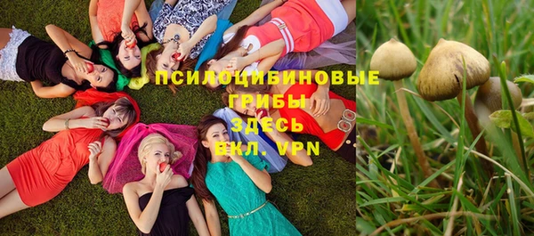 PSILOCYBIN Гусь-Хрустальный