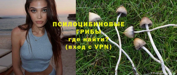 марки nbome Гусев