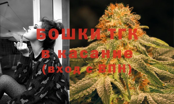 PSILOCYBIN Гусь-Хрустальный