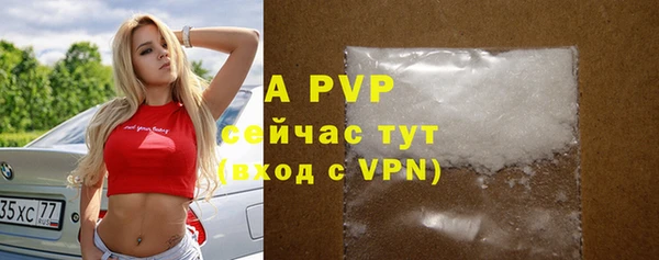 марки nbome Гусев