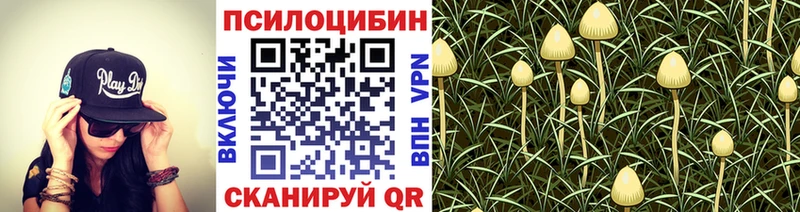 Галлюциногенные грибы Magic Shrooms  Купить закладки  Карабаново 