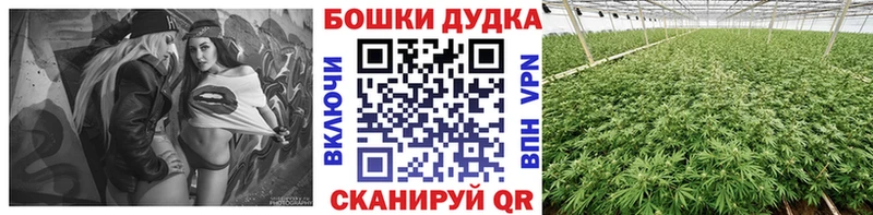 Бошки Шишки тримм  Купить  Карабаново 
